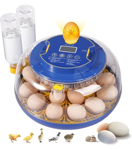 Amazon.com: 12 Egg Incubators for Hatching Eggs, Chicken Egg